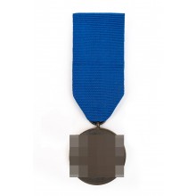 Медаль за 8 лет службы WSS