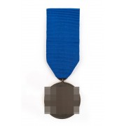 Медаль за 8 лет службы WSS